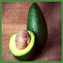 Organic Avocados in Arizona
