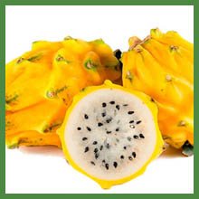 Pitahaya Pulp. Organic Pulps in Arizona. Fruit Pulps in Arizona. Fruit Organic